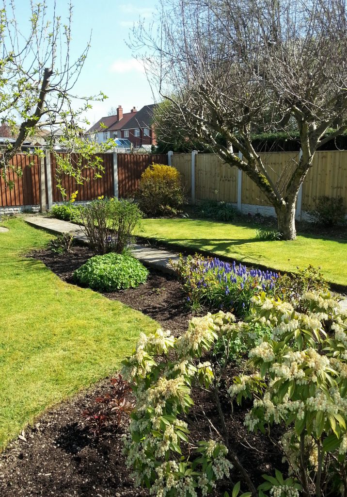 Alfreton Gardens Alfreton Gardener